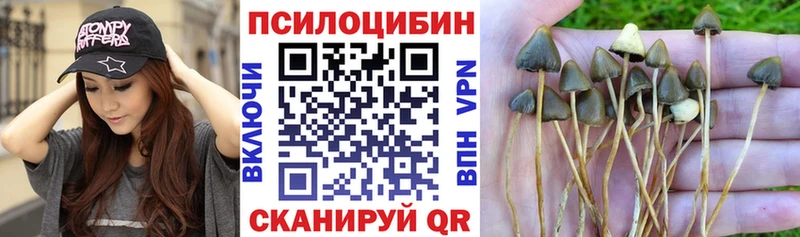 ОМГ ОМГ маркетплейс  Красногорск  Галлюциногенные грибы мухоморы 